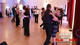 Ples knezjega mesta_plesni vecer_celje (23).jpg
